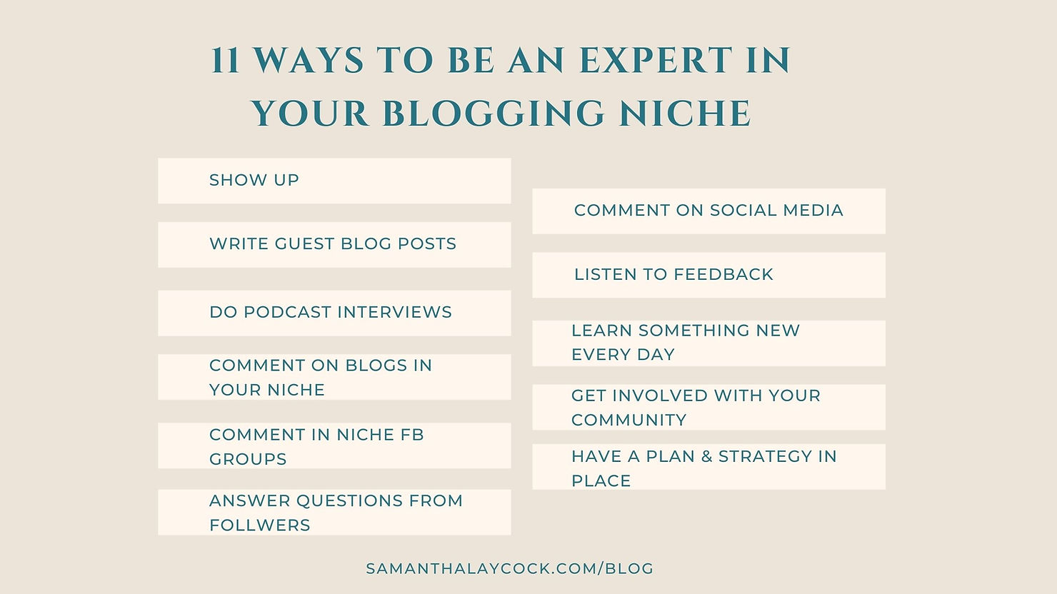 11 ways to be seen as an expert in your blogging niche